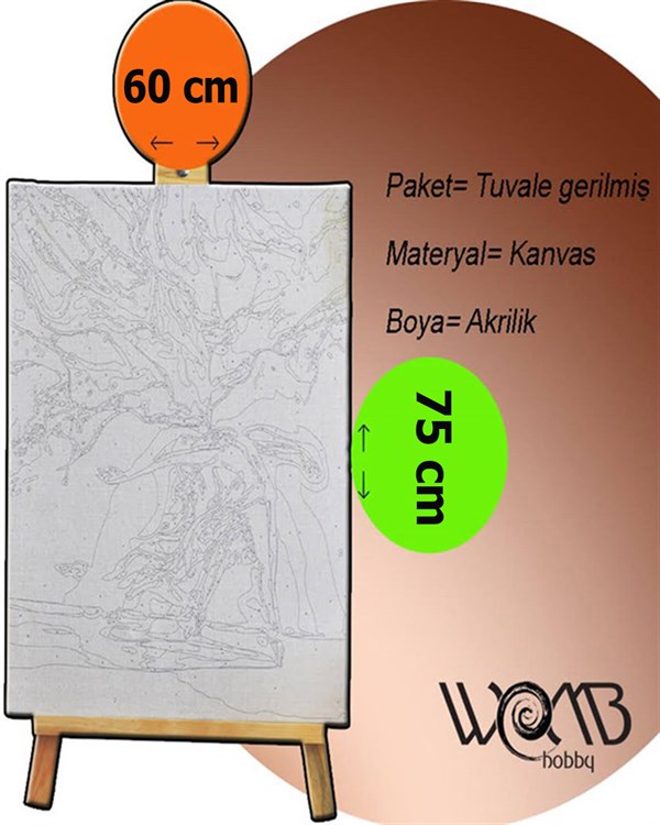 Kadın ve Etnik Sayılarla Boyama Seti 40x50 cm (Tuvale Gerili)