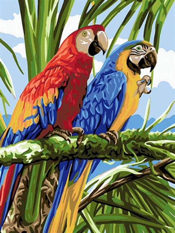 Papağanlar Sayılarla Boyama Seti 40x50 cm (Tuvale Gerili)