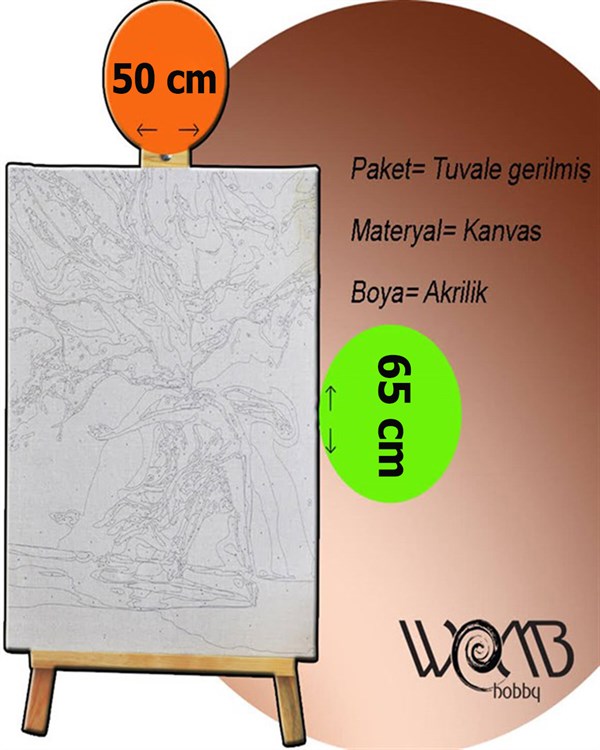 Pi Sayısı Sayılarla Boyama Seti 40x50 cm (Tuvale Gerili)