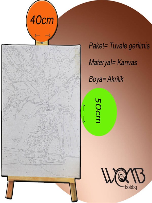 Picasso Uçan Fil Sayılarla Boyama Seti 40x50 cm (Tuvale Gerili)