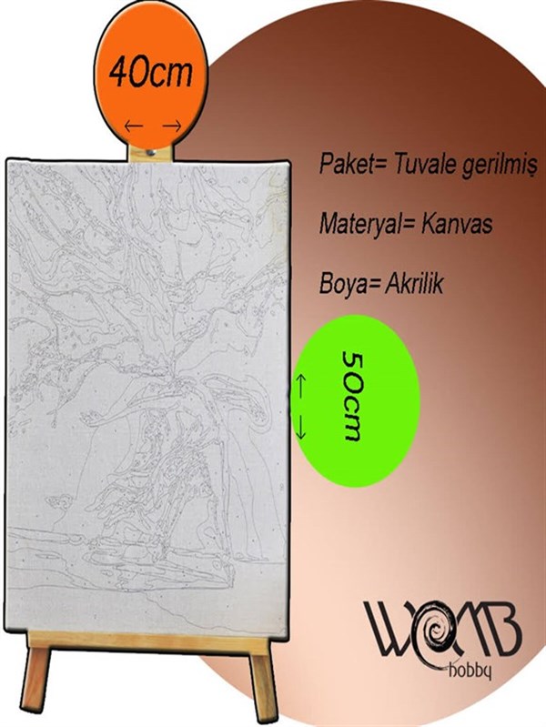 Türk Kızı Sayılarla Boyama Seti 40x50 cm (Tuvale Gerili)